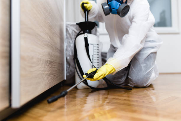 Best Insect Control  in Carpentersvle, IL