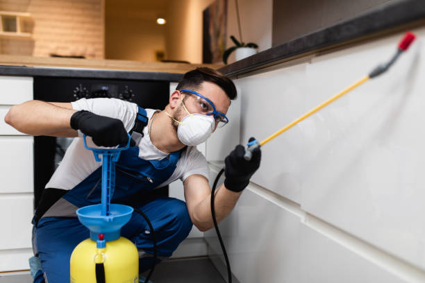 Best Flea Control Services  in Carpentersvle, IL