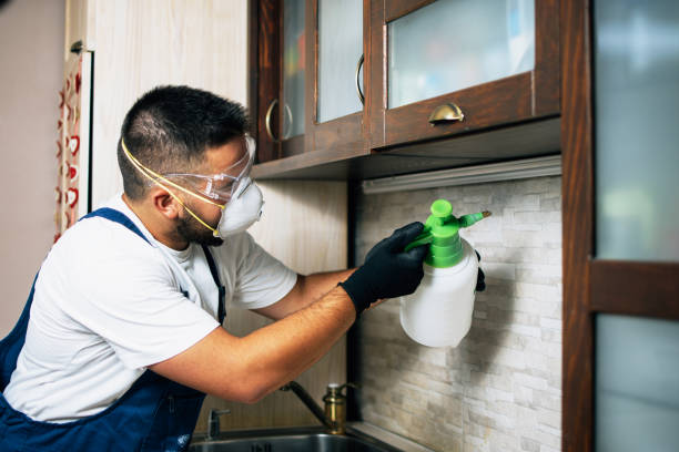 Best Mosquito Control Services  in Carpentersvle, IL