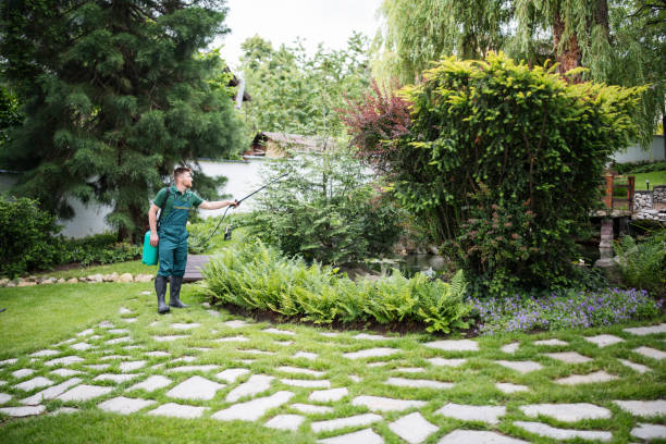 Best Wasp Removal Services  in Carpentersvle, IL
