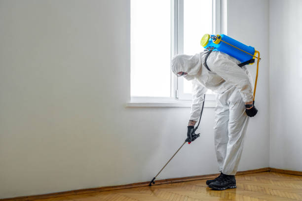 Best Exterminator Services  in Carpentersvle, IL