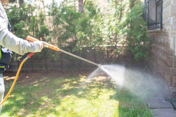 Best Pest Prevention Services  in Carpentersvle, IL