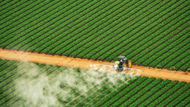 Best Termite Control Services  in Carpentersvle, IL