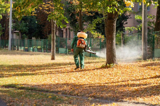 Wasp Removal Services in Carpentersville, IL