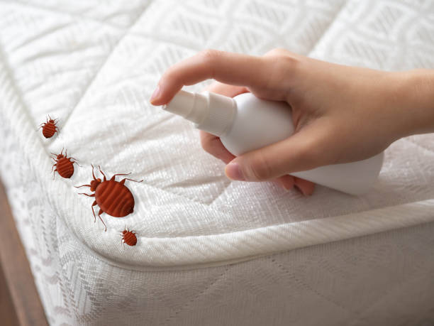 Best Best Pest Control Companies  in Carpentersvle, IL